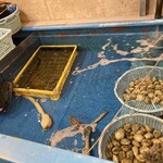 銀座船形 大手町 - 