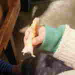 魚真 - うまし！