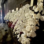 日本料理 お寅 - 