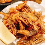 いたる - 小ガス海老唐揚げ