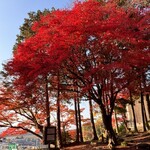 ラ コリーナ近江八幡 - 