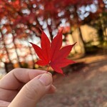 ラ コリーナ近江八幡 - 