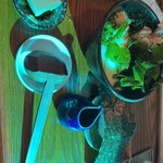 僕とうどんとカツオだし - 