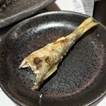 神田まぐろ漁港 - 