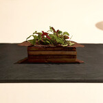 カンテサンス - フォアグラ　焼き茄子　カカオビスケット　アップルビネガー