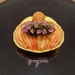 イル アオヤマ - 