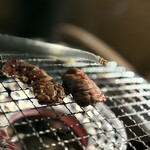 焼肉 ホルモンCHINTAN - 特撰ハラミ