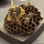 プレゼンテ スギ - 