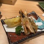 寿司のたぬき - 