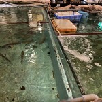 天草地魚料理 いけすやまもと - 