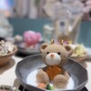 Hokkaido Menkoi Kumachan Onsen Shibuya ten - 