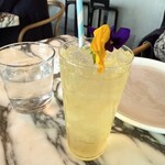 THE APOLLO - アポロアイスティー