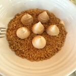 THE APOLLO - レモンパイ