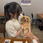 餃子とサワー ニホンバシ - 