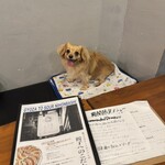 餃子とサワー ニホンバシ - 