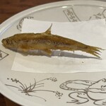 旬彩天 つちや - 