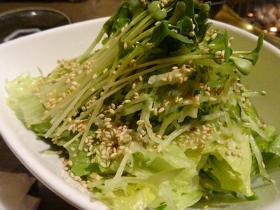 Sumiya Kappa photo 5