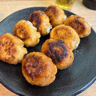 ホワイト餃子 はながさ_0