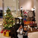 カジュアルダイニング ザ・テラス - 