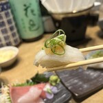 大阪泉佐野港 活鮨 - 