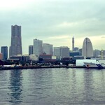 International cuisine subzero - 