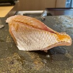 銀座 鮨 しょう介 - 