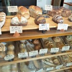 パナデリアトリゴ - 