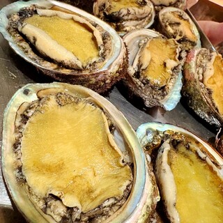 北海道噴火湾の漁師舘岡さんから天然活鮑が届きました。