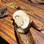 クラフタル - ホタテチップス木目仕立てマッシュルーム