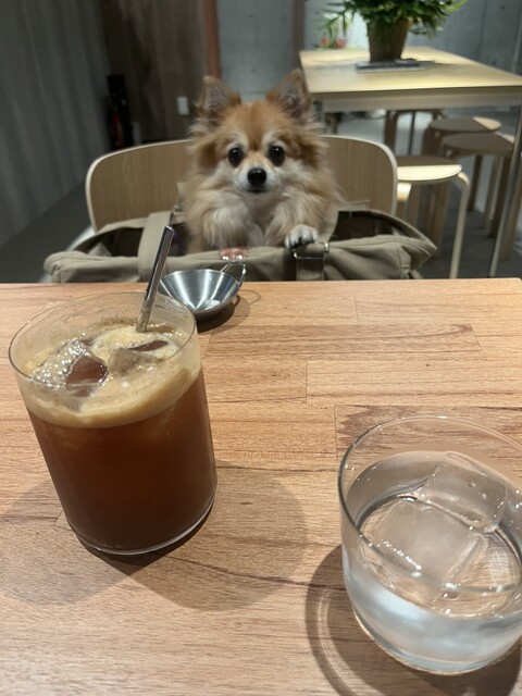 arvo coffee - 池ノ上/カフェ | 食べログ