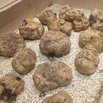 ア・ニュ Shohei Shimono - 