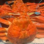 ア・ニュ Shohei Shimono - 