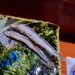 鮨匠 のむら - きびなご