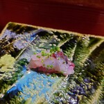 鮨匠 のむら - アジ