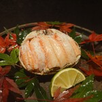 寿し処ふしみ - 