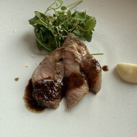 サーラ アマービレ - 