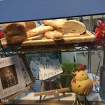 わらびなー - 1101OPEN告知店頭