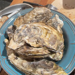 FAST OYSTERS - 
