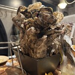 FAST OYSTERS - 