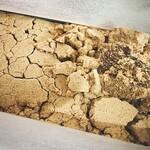 本煉果子 炊蓮 isshin  - 