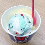 Thirty-One Ice Cream Ion Saku Sakudairaeki Ten