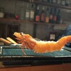Frit いっこいっこ - 