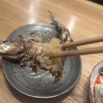 サカバミハマ - 