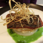 リュド コマンセ　ナチュール - 魚メイン「北海道産 クロソイのポワレ／菜の花のピュレ」