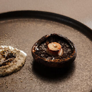 マッシュルームトーキョー_2