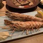 炭焼居酒場 IGOR COSY 渋谷本店 - 