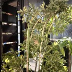 料理店 ワイルドキャット - 