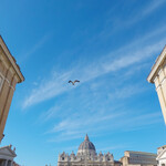 Bistro Ave - バチカンの空にカモメ