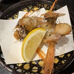 廻る富山湾 すし玉 - 