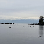 カフェ イソミ テラス - 今ひとつでしたが、この美しさ♫